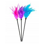   Lover`s Feather Ticklers 
      .