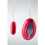  My Favourite Vibrating Bullet,  
,    ,         ,   ,      .