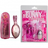 -  THE BUNNY 7508-01 CD DJ 
       .