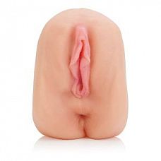      Alexis Amore 
          .