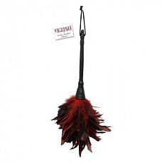   -  FRISKY FEATHER DUSTER  
    ,      .