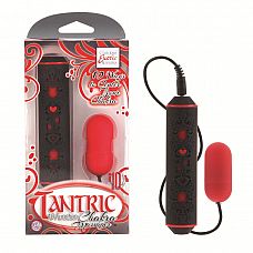 ������� �������������-������ � �������������� ������� ���������� TANTRIC 
����������-����������� �������� ����� � 10 ��������� �������� � ���������, ����������� ������� � ����� ��������� ��������.