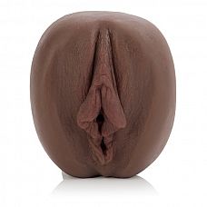    India Sweet Pussy 
        .