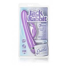   ReCNargeable Triple Motor Jack Rabbit - Purple (NEW)  
  ReCNargeable Triple Motor Jack Rabbit   .