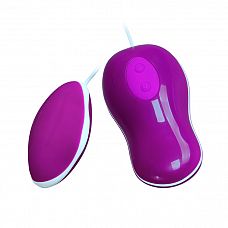 Фиолетовое виброяйцо с выносным пультом управления 
Фиолетовое виброяичко с выносным пультом управления заставит вас раскраснеться.