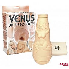 - Venus   
     !      ,   .