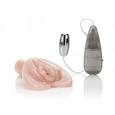 - CRYSTAL SALSA PUSSY 
 -     .