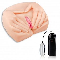   Vibrating Spread Open Pussy   Ass 
     - -   .