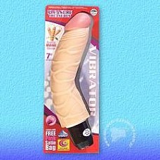  PLEASURE TREASURES VIBRATOR FLESH 
 PLEASURE TREASURES VIBRATOR FLESH.