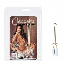       Cleopatra Clit-Cristal Pur 2625-14CDSE 
          .