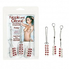        Nipple/Clit Jewel Ruby2611-11CDSE 
 - ABS  .