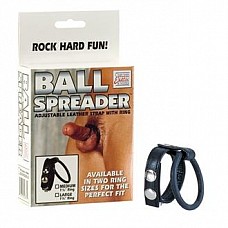  BALL SPREADER LARGE 1412-02BXSE 
:  Ball Spreader Large 1412-02BXSE               1412-02BXSE,              .