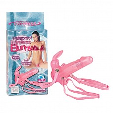   WIRELESS BUNNY 0574-04BXSE 
    ,  ,  .