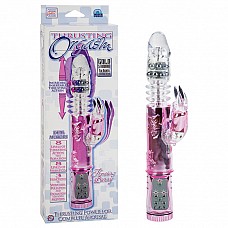   -  THRUSTING BUNNY SE-0661-00-3 
          ,     !        8   ,   8   ,     !            ,     .