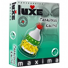  LUXE Maxima " " 
  ,   ,         .
