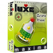  Luxe Maxima  , 1 . 
,      ,      .