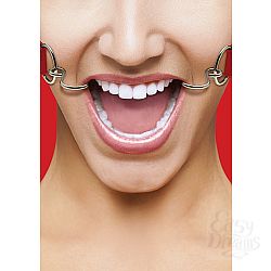 Кляп OUCH! Hook Red SH-OU106RED Кляп OUCH! Hook Red SH-OU106RED