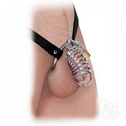    Extreme Chastity Belt   