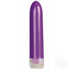   - Mini Vibe Purple - 12,3 .
