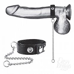       Snap Cock Ring With 12  Leash