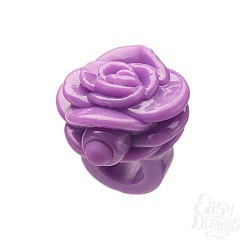   -     GOSSIP RING