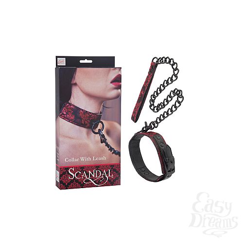  1:     Scandal Collar with Leash  -