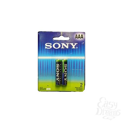 1:   AAA Sony Alkaline LR03 2 