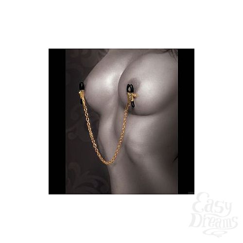  2  ׸      Gold Chain Nipple Clamps