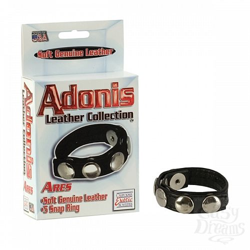 1:  Adonis Leather Collection - Ares