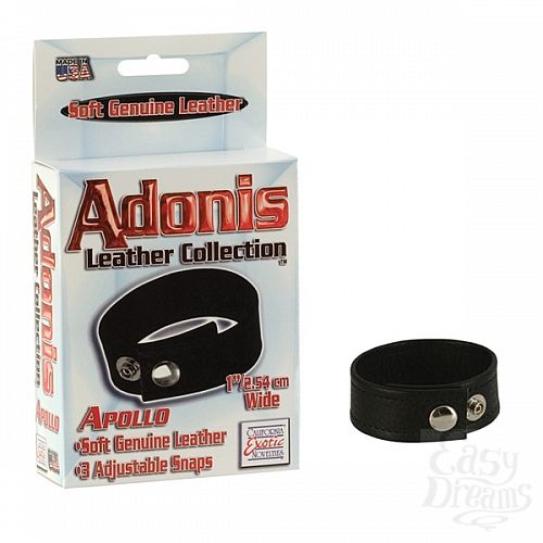  1:  Adonis Leather Collection - Apollo