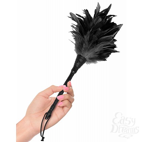  2   Frisky Feather Duster