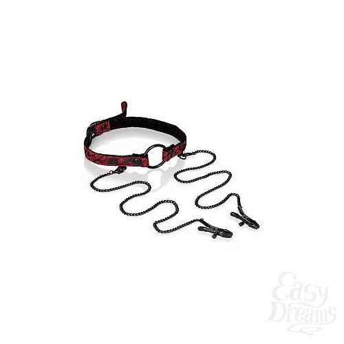  4  -     Scandal Open Mouth Gag with Clamps 