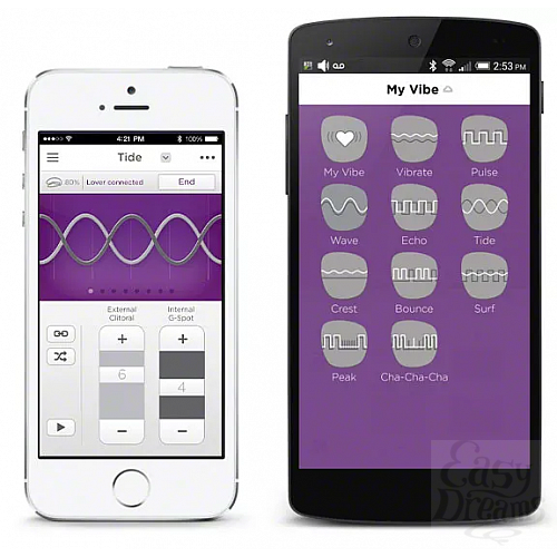  2 We-Vibe    We-Vibe 4 Plus: App Only Model