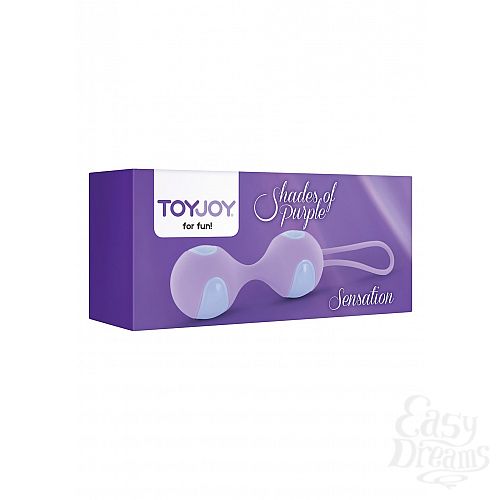  2      SENSATION KEGEL BALLS PURPLE