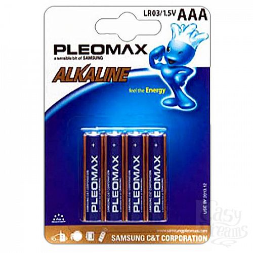  1:   AAA Samsung Pleomax LR03 4 