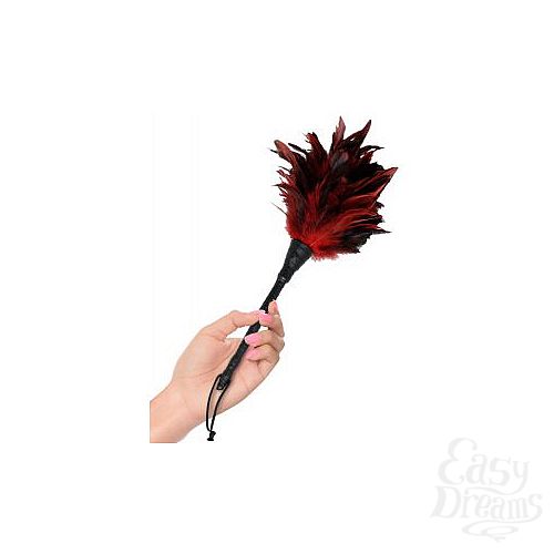  2    -  FRISKY FEATHER DUSTER 