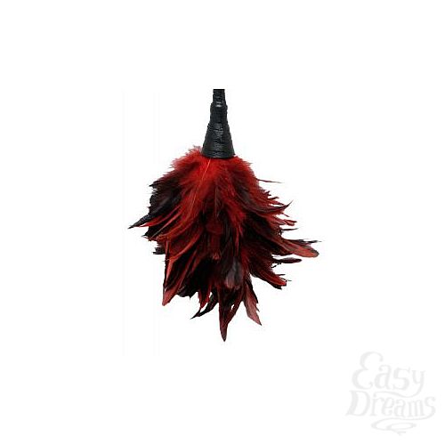  3    -  FRISKY FEATHER DUSTER 