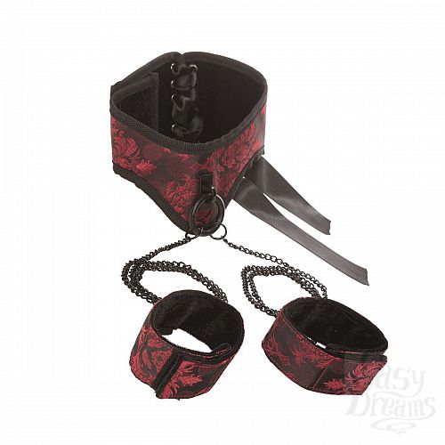  2     Scandal Posture Collar with Cuffs