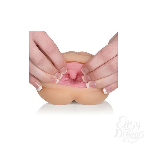  2    Vivid Raw Cock Tease   