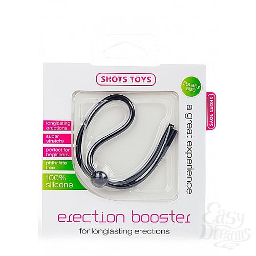  2      Erection Booster