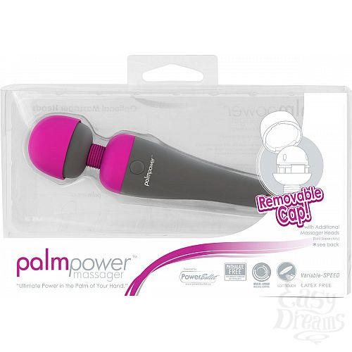  1:   PalmPower Massager - 19,2 .