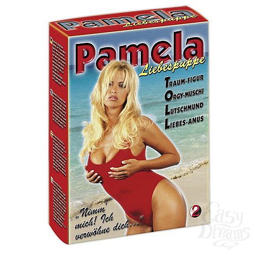  1:     Pamela 