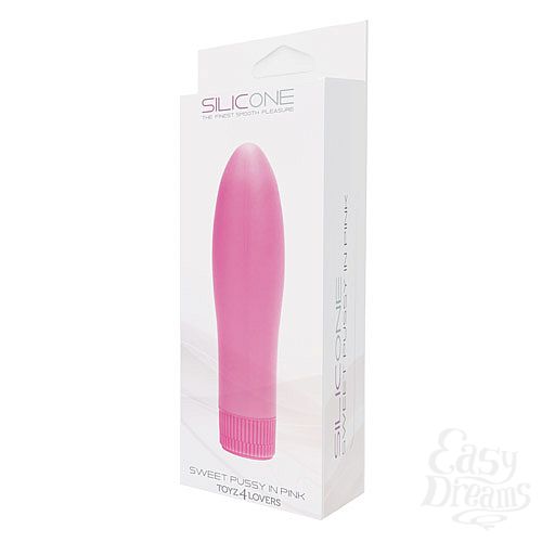  2    SWEET PUSSY IN SILICONE - 13,5 .
