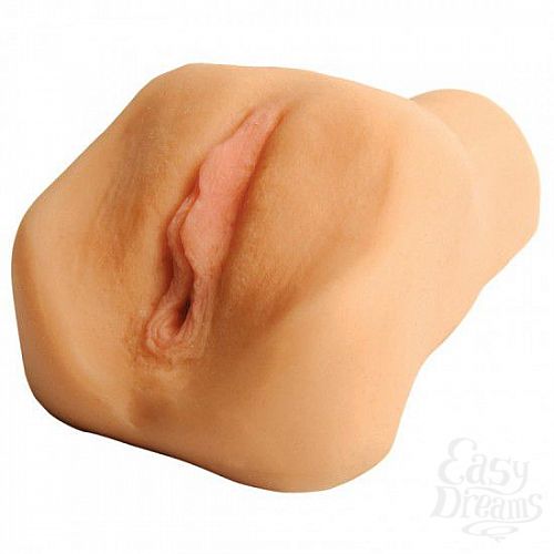 ���������� 1:  ������������ ������ � ���������