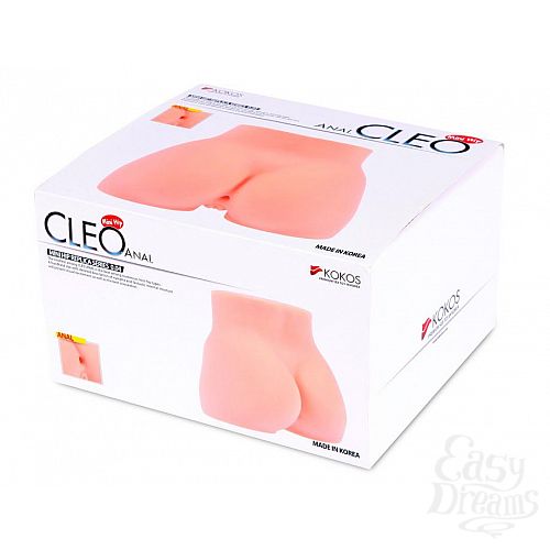  3  -   Cleo anal