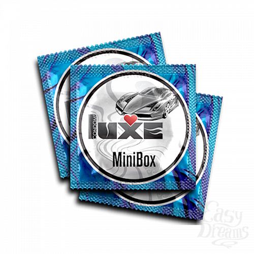  5   LUXE Mini Box   1  (24 )