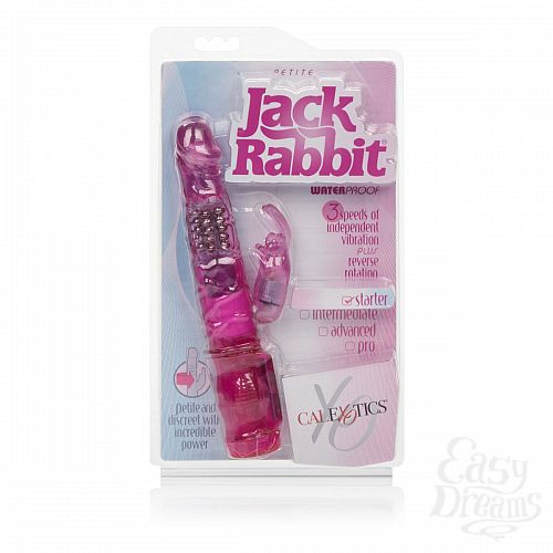  6    Petite Jack Rabbit 