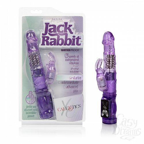  5    Petite Jack Rabbit