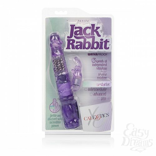  6    Petite Jack Rabbit