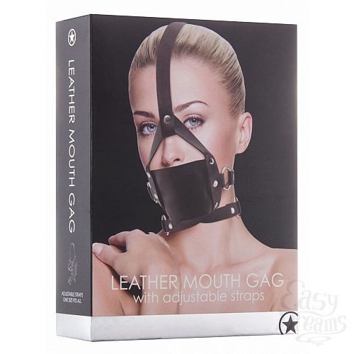  2  ׸   Leather Mouth Gag